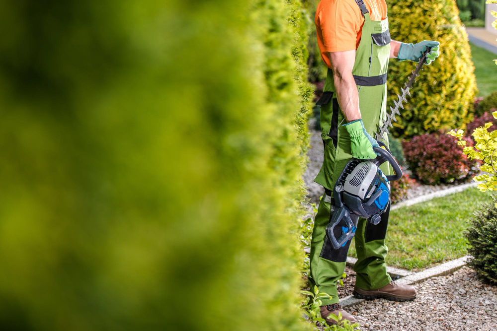 Entretien d'espaces verts