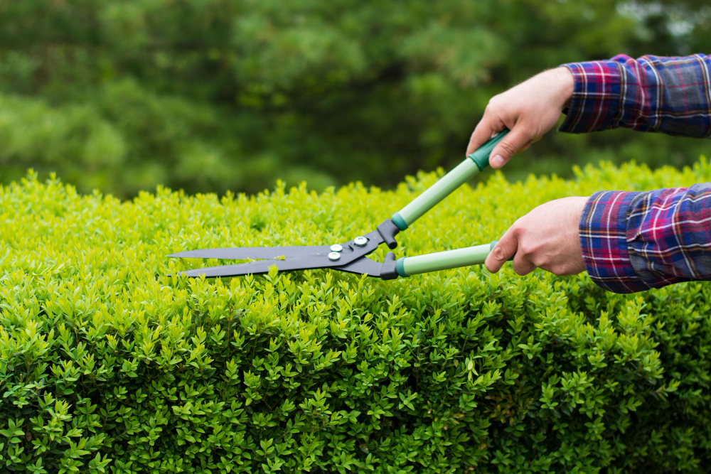 Entretien d'espaces verts